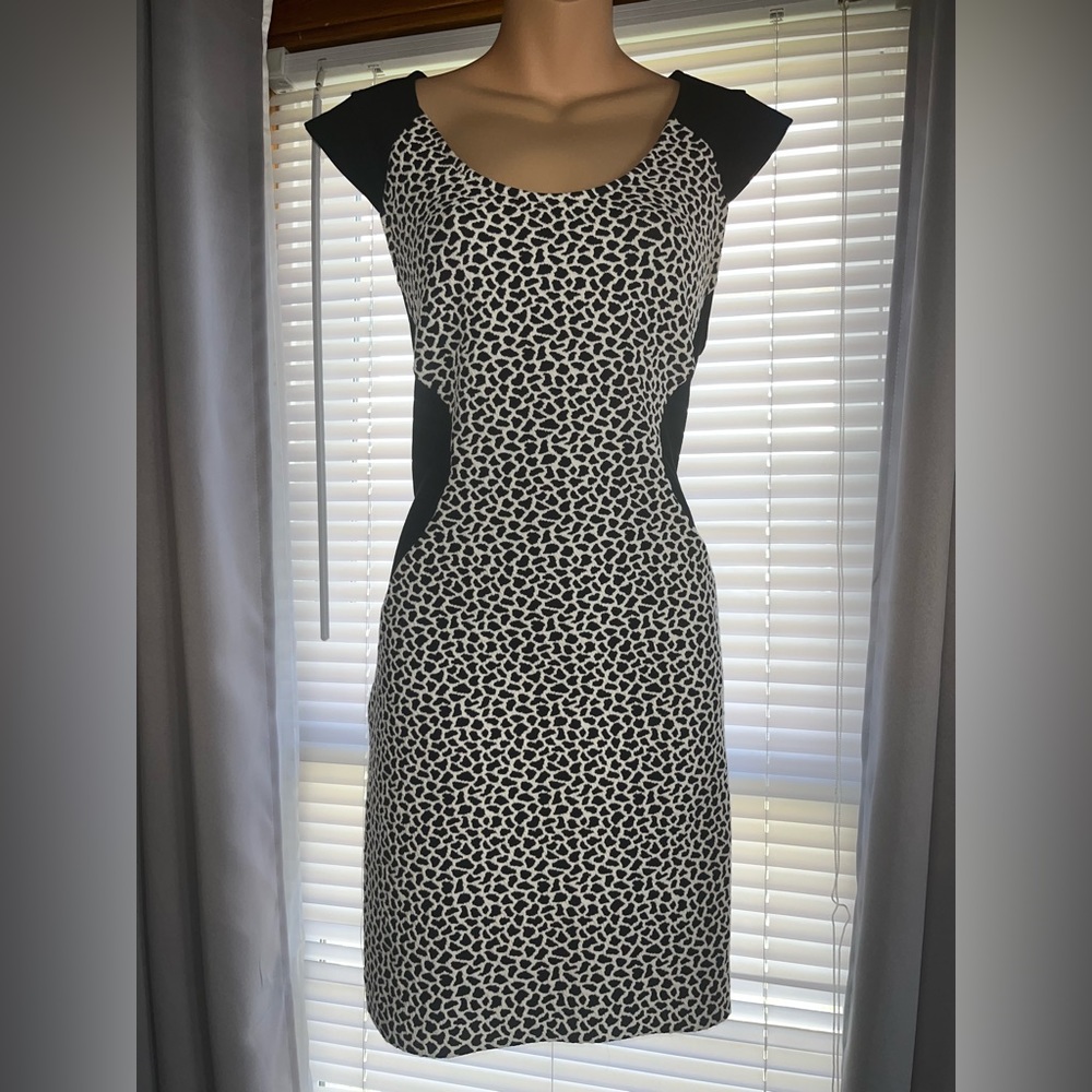 Express Black and White Bodycon Dress NWT